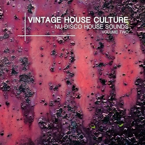 VA - Vintage House Culture Vol. 2 Nu Disco House (2015)