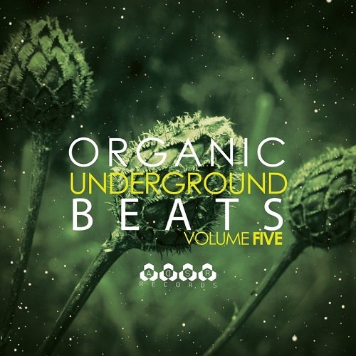 VA - Organic Underground Beats Vol.5 (2015)