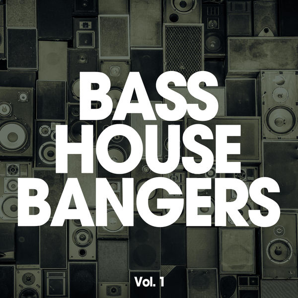 VA - Bass House Bangers, Vol. 1 (2015)