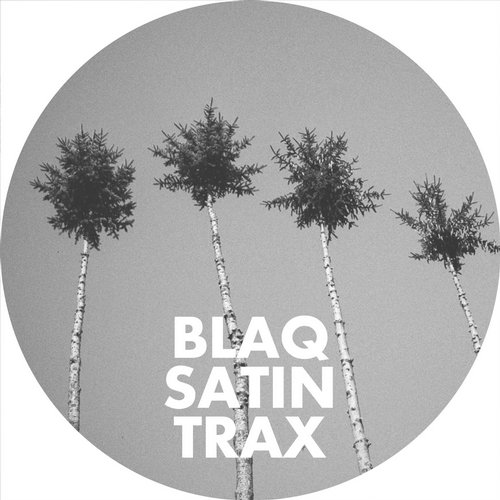 VA - Blaq Satin Trax (2016)