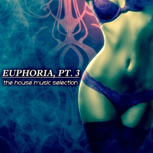VA - Euphoria, Pt. 3 - the House Music Selection (2016)