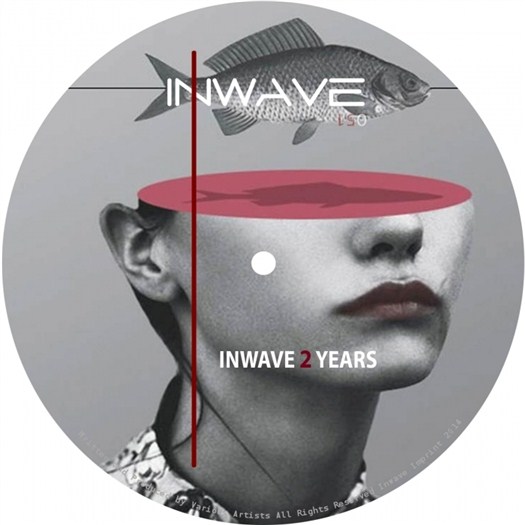 VA - Inwave 2 Years (2016)