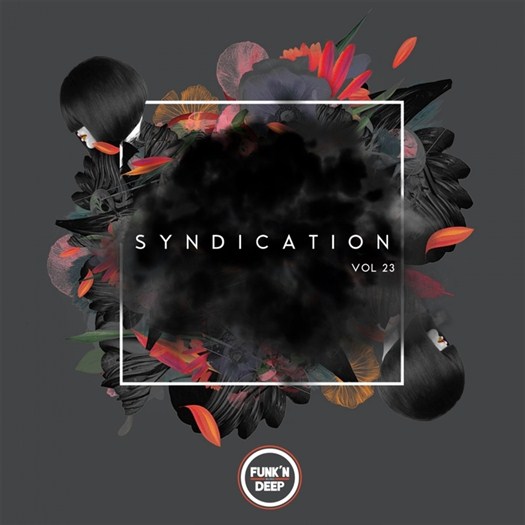 VA - Syndication Vol 23 (2016)