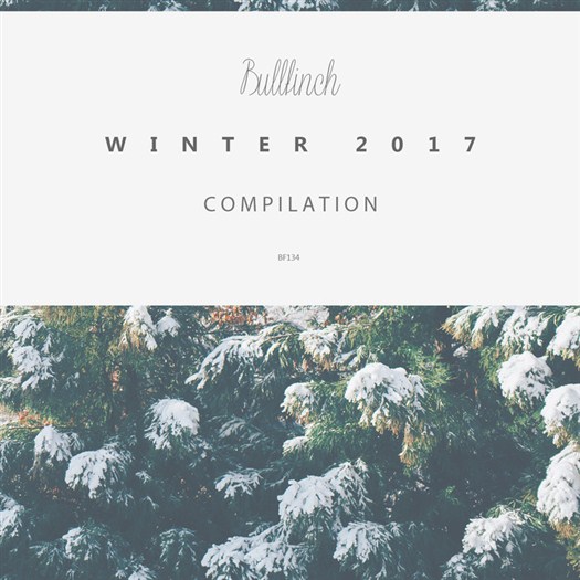 VA - Bullfinch Winter Compilation 2017