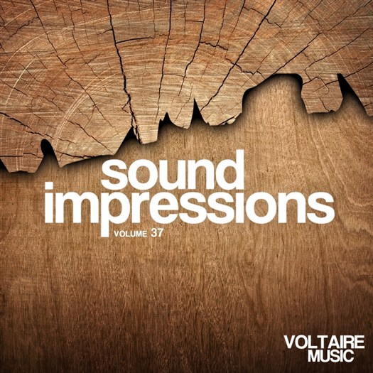 VA - Sound Impressions Vol 37 (2017)