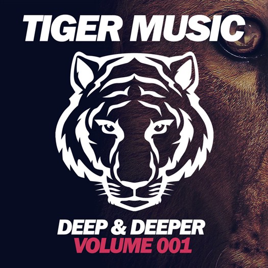 VA - Deep & Deeper (Volume 001) (2017)