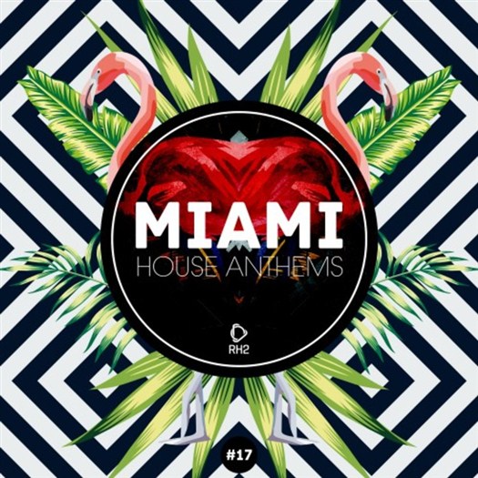 VA - Miami House Anthems Vol 17 (2017)