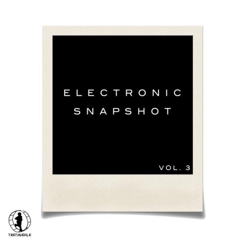 VA - Electronic Snapshot Vol 3 (2017)