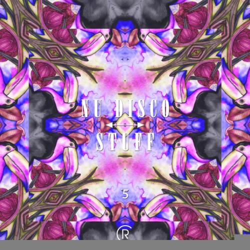 VA - Nu Disco Stuff Vol 5 (2017)
