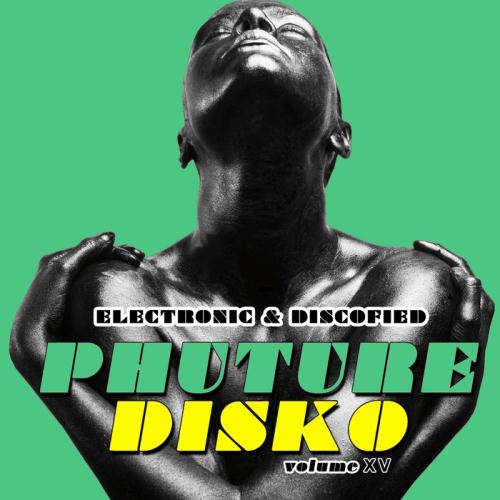 VA - Phuture Disko Vol 15   Electronic & Discofied (2017)