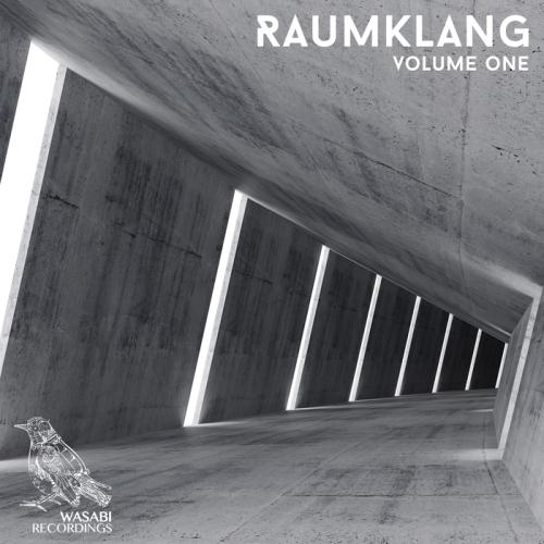 VA - Raumklang Vol 1 (2017)