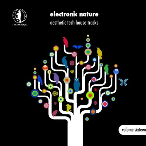 VA - Electronic Nature Vol 16 - NAesthetic Tech House Tracks! (2017)