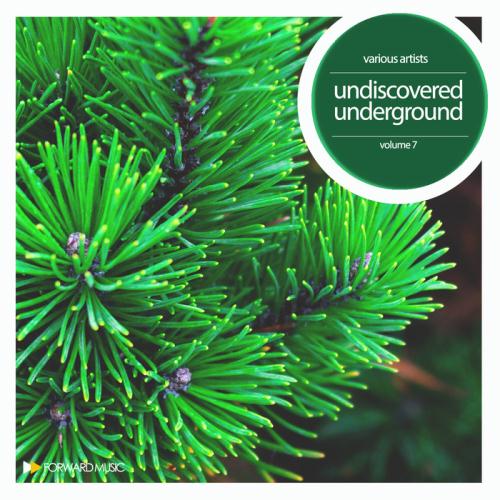 VA - Undiscovered Underground Vol 7 (2017)