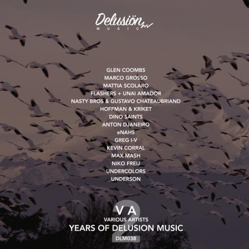 VA - 2 Years Of Delusion Music (2017)