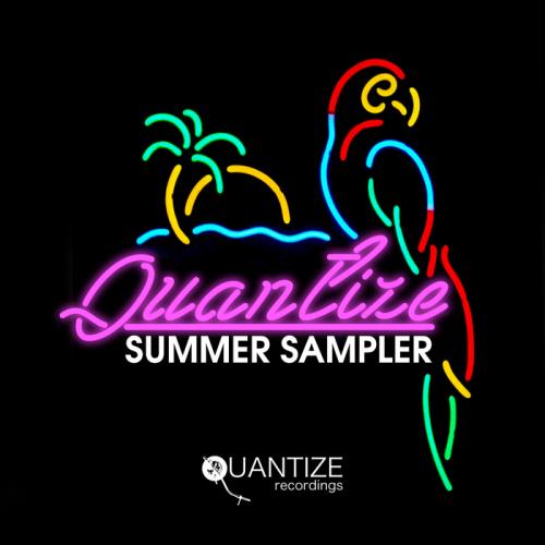 VA - Quantize Summer Sampler 2017