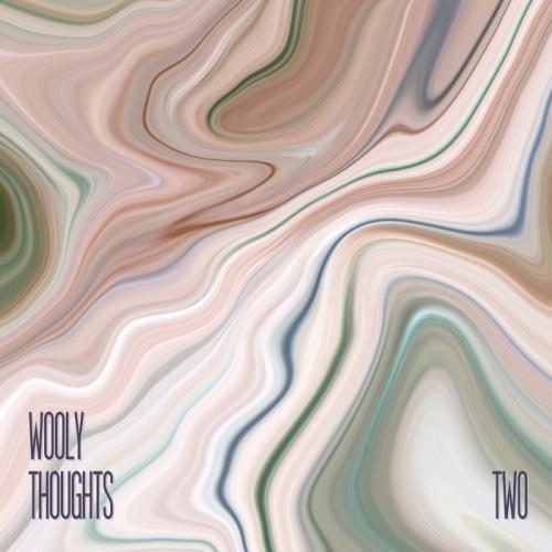 VA - Wooly Thoughts Vol 2 (2017)