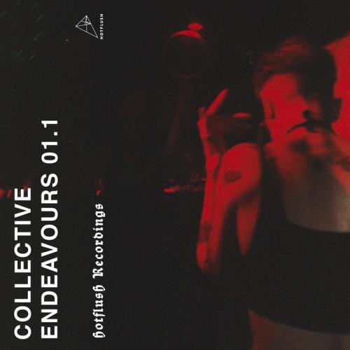 VA - Collective Endeavours 01.1 (2017)