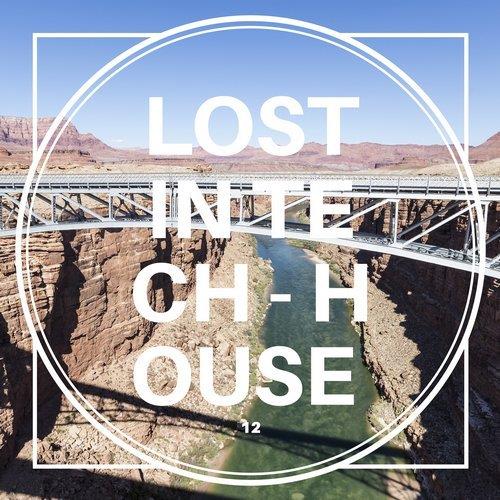 VA - Lost in Tech-House, Vol. 12 [HiFi Stories] 