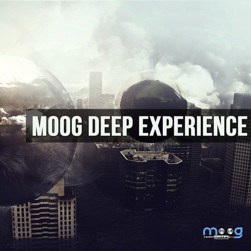 VA - Moog Deep Experience [Moog Modular] 