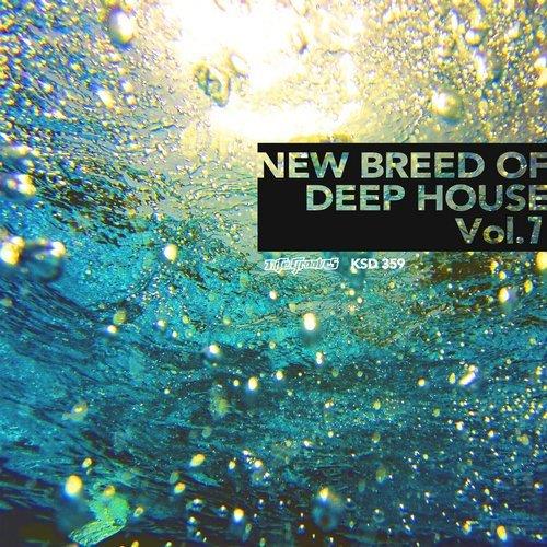 VA - New Breed Of Deep House Vol. 7 [Nite Grooves] 