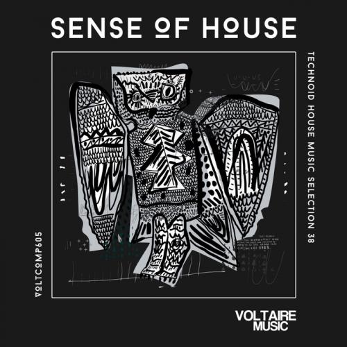 VA - Sense Of House Vol 38 (Technoid House Music Selection 38)