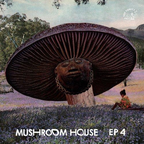 VA - Mushroom House EP4 [Toy Tonics] 