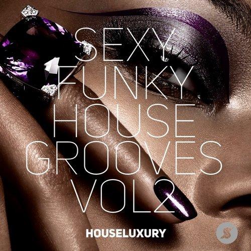 VA - Sexy Funky House Grooves Vol2 [Pornostar Comps] 