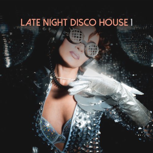 VA - Late Night Disco House, Vol. 1 [House Place Records]