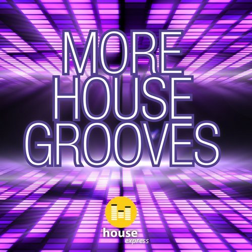 VA - More House Grooves [House Express] 