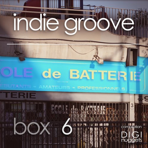 VA - Indie Groove Box, Vol. 6 [DIGI Nuggets] 