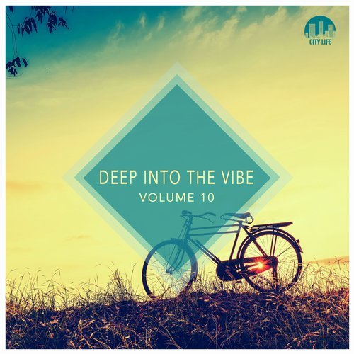 VA - Deep Into the Vibe, Vol. 10 [City Life] 