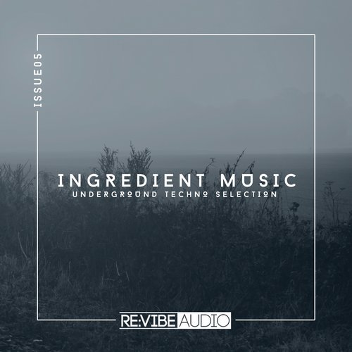VA - Ingredient Music, Vol. 5 [Re:vibe Audio] 