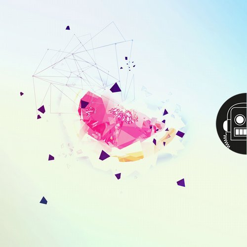 VA - Curandero by Andre Salmon [NoRobot Music] 