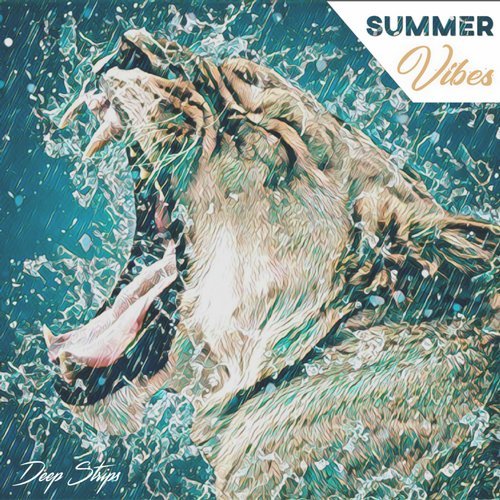 VA - Summer Vibes [Deep Strips] 