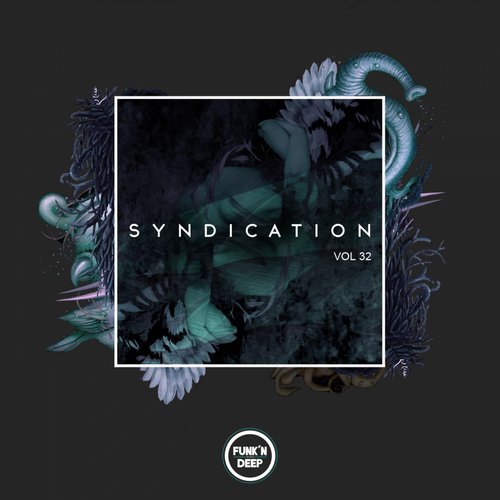 VA - Syndication, Vol. 32 [Funk'n Deep Records] 