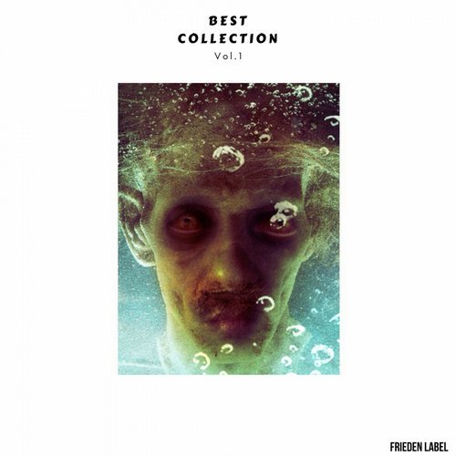 VA - Best Collection Vol.1 [Frieden Label] 