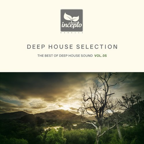 VA - Deep House Selection, Vol. 5 [Incepto Bundles] 