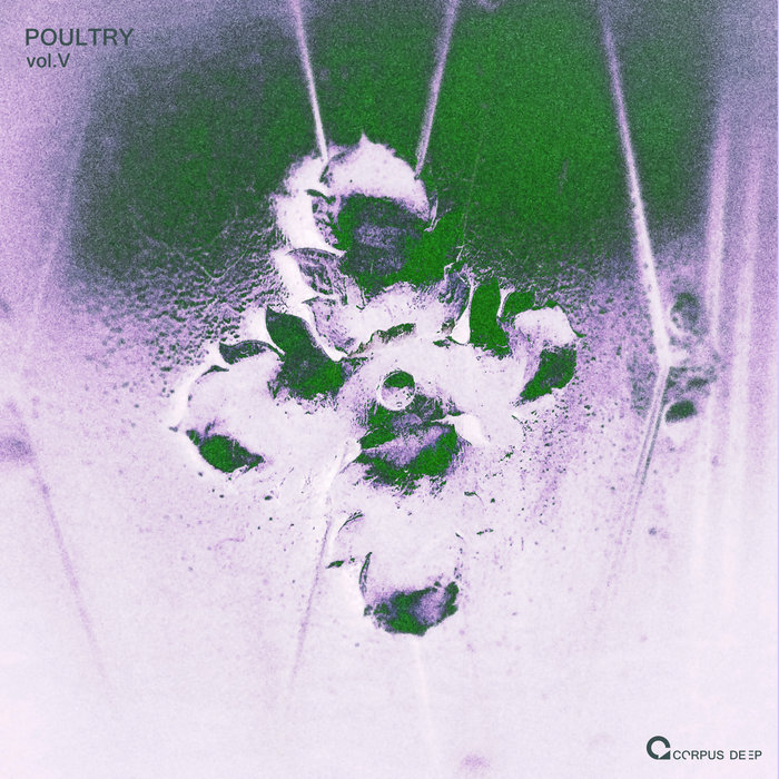 VA - Poultry 5