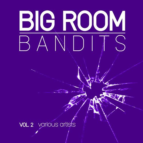 VA - Big Room Bandits, Vol. 2 [Freaky Culture] 