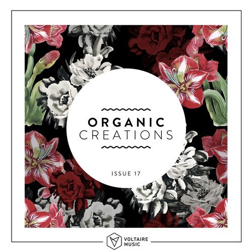 VA - Organic Creations Issue 17 [Voltaire Music] 