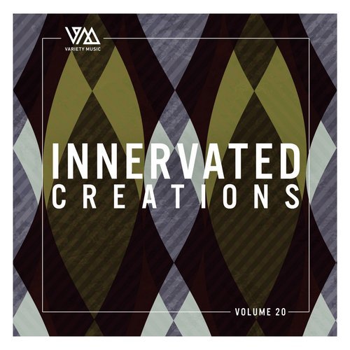 VA - Innervated Creations Vol. 20 [Variety Music] 