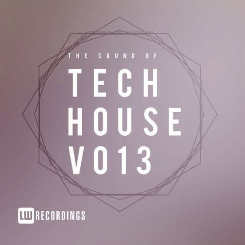 VA - The Sound of Tech House, Vol. 13 [LW Recordings] 