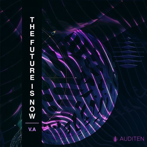 VA - The Future Is Now V.A. [Auditen Music] 