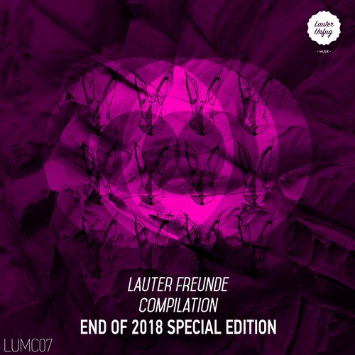 VA - Lauter Freunde End of 2018 Special Edition [Lauter Unfug] 