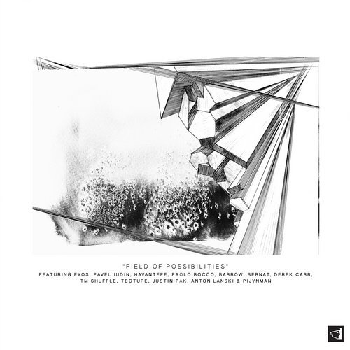 VA - Field of Possibilities [Berg Audio] 