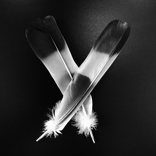 VA - Patterns Of Time [No Theory] 