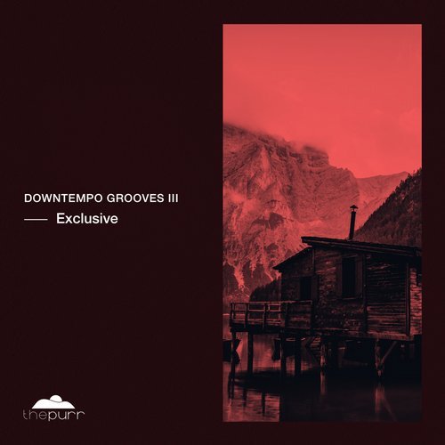 VA - Downtempo Grooves III Exclusive [The Purr] 