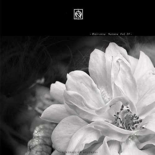 VA - Universa Natura, Vol. IV [Northallsen Records] 