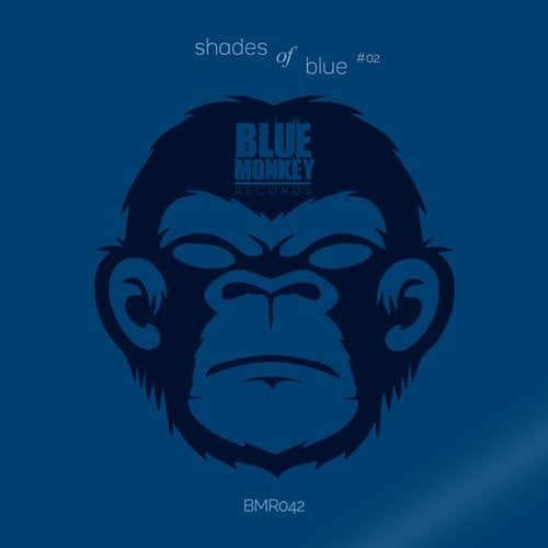 VA - Shades of Blue #02 [Blue Monkey Records] 