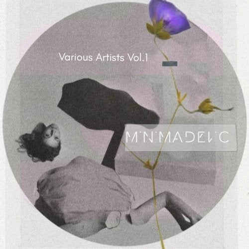 VA - Minimadelic V.A, Vol. 1 [Minimadelic Records] 